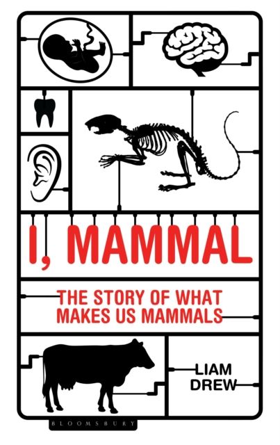 Forsidebilde av I, Mammal : The Story of What Makes Us Mammals