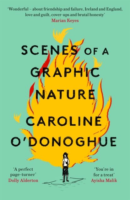 Scenes of a Graphic Nature : 'A perfect page-turner ... I loved it' - Dolly Alderton