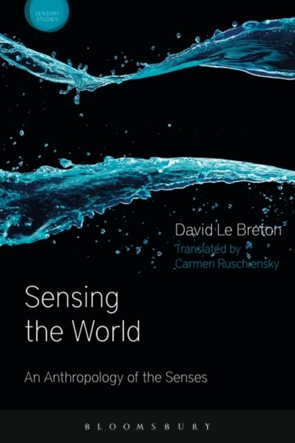 Sensing the World : An Anthropology of the Senses