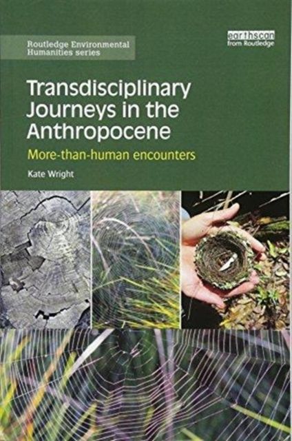 Transdisciplinary Journeys in the Anthropocene : More-than-human encounters