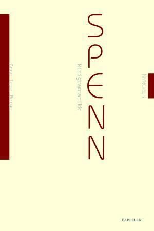 Spenn : minigrammatikk