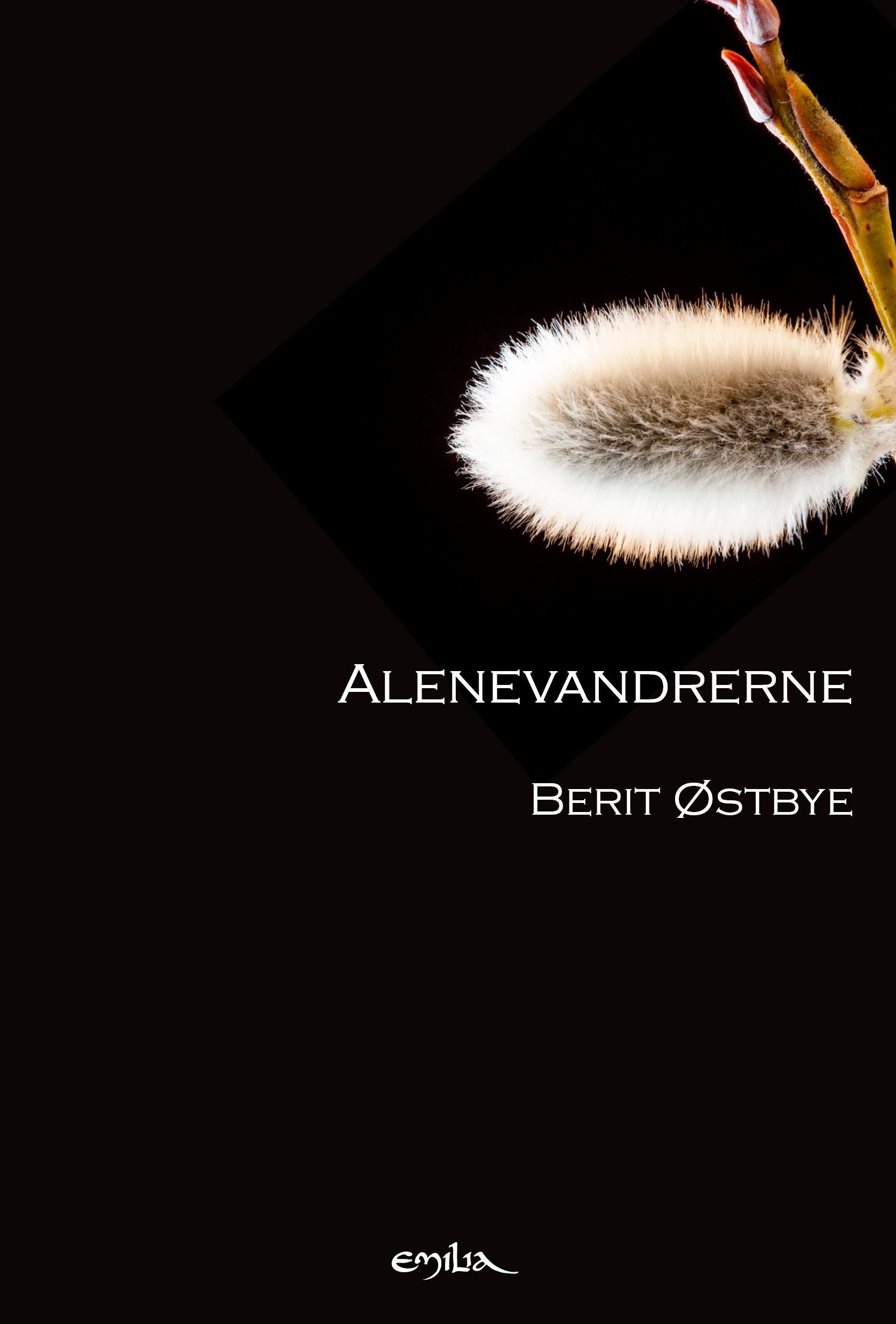 Alenevandrerne : et tilbakeblikk