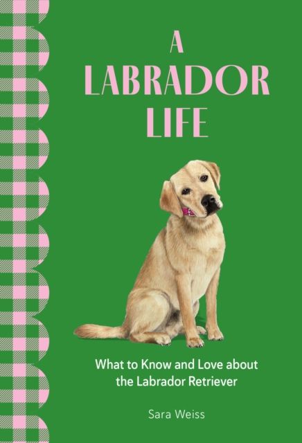 A Labrador Life : What to Know and Love About the Labrador Retriever