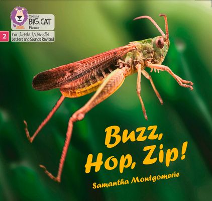 Buzz, Hop, Zip! : Phase 2 Set 5