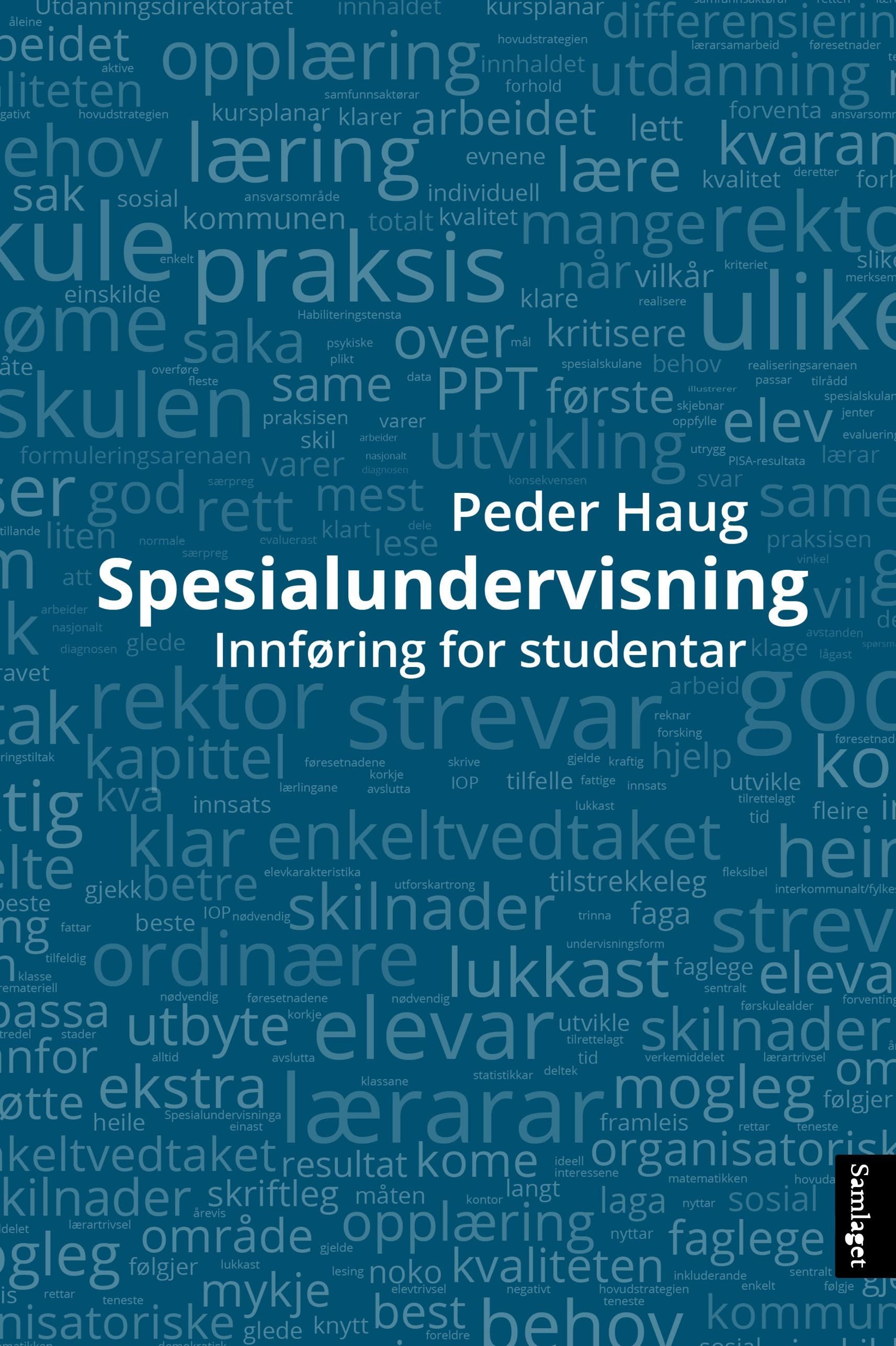 Spesialundervisning : ei innføring