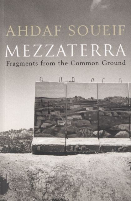 Mezzaterra : Fragments from the Common Ground