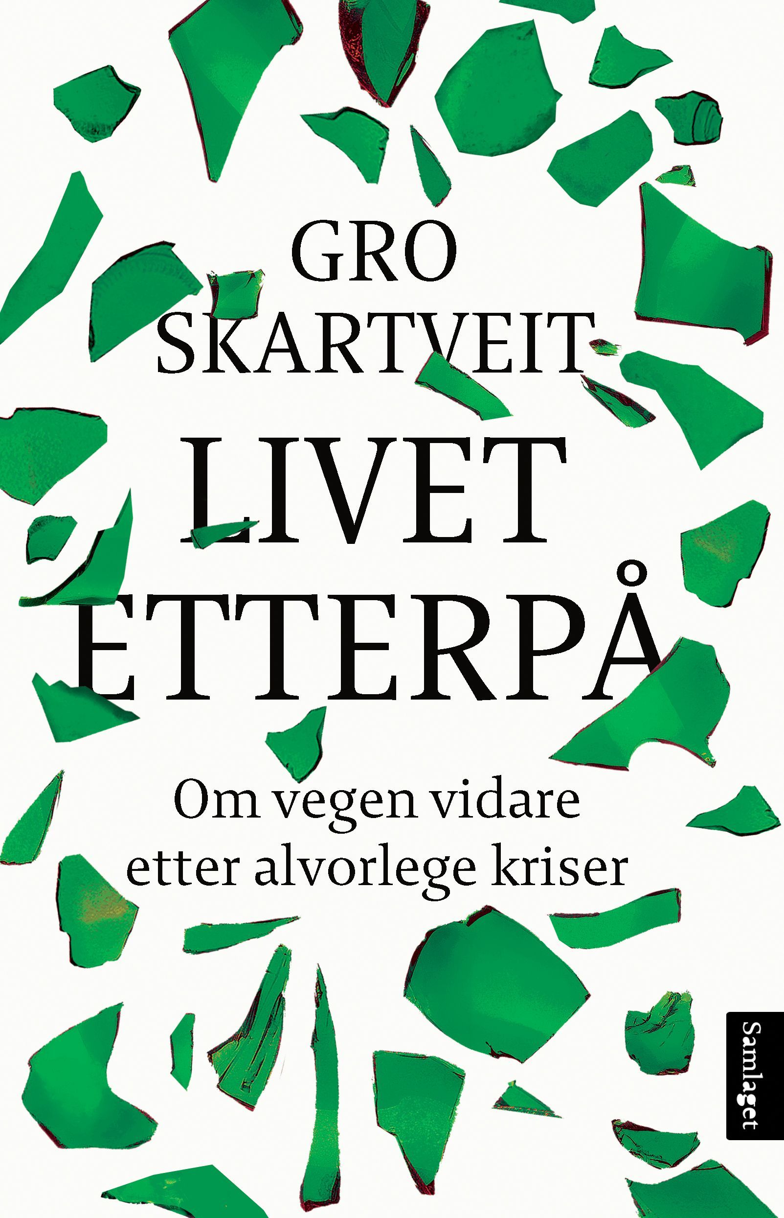 Livet etterpå : om vegen vidare etter alvorlege kriser