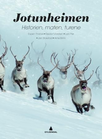Jotunheimen : historien, maten, turene