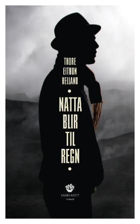 Natta blir til regn : roman