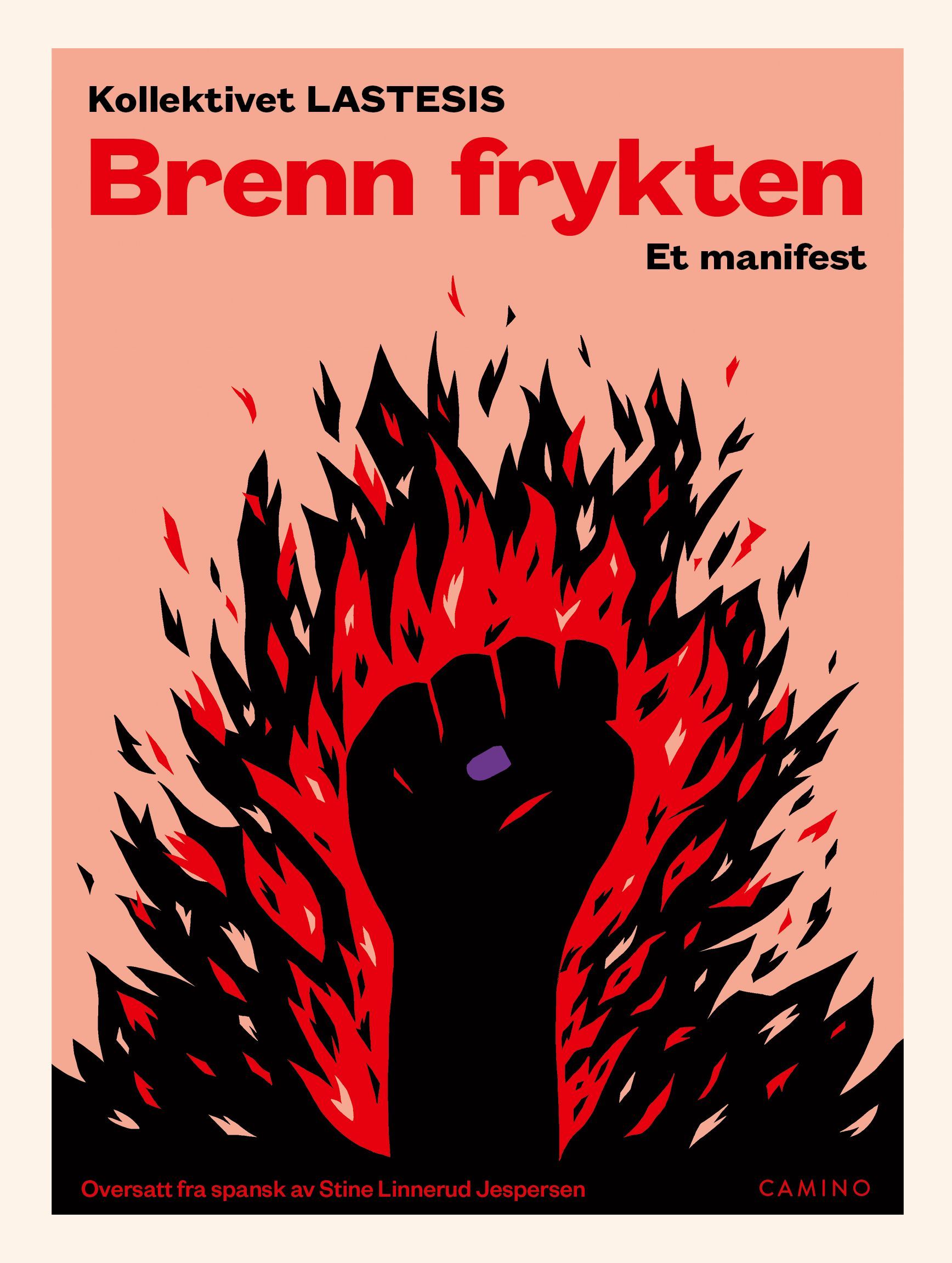 Brenn frykten : et manifest