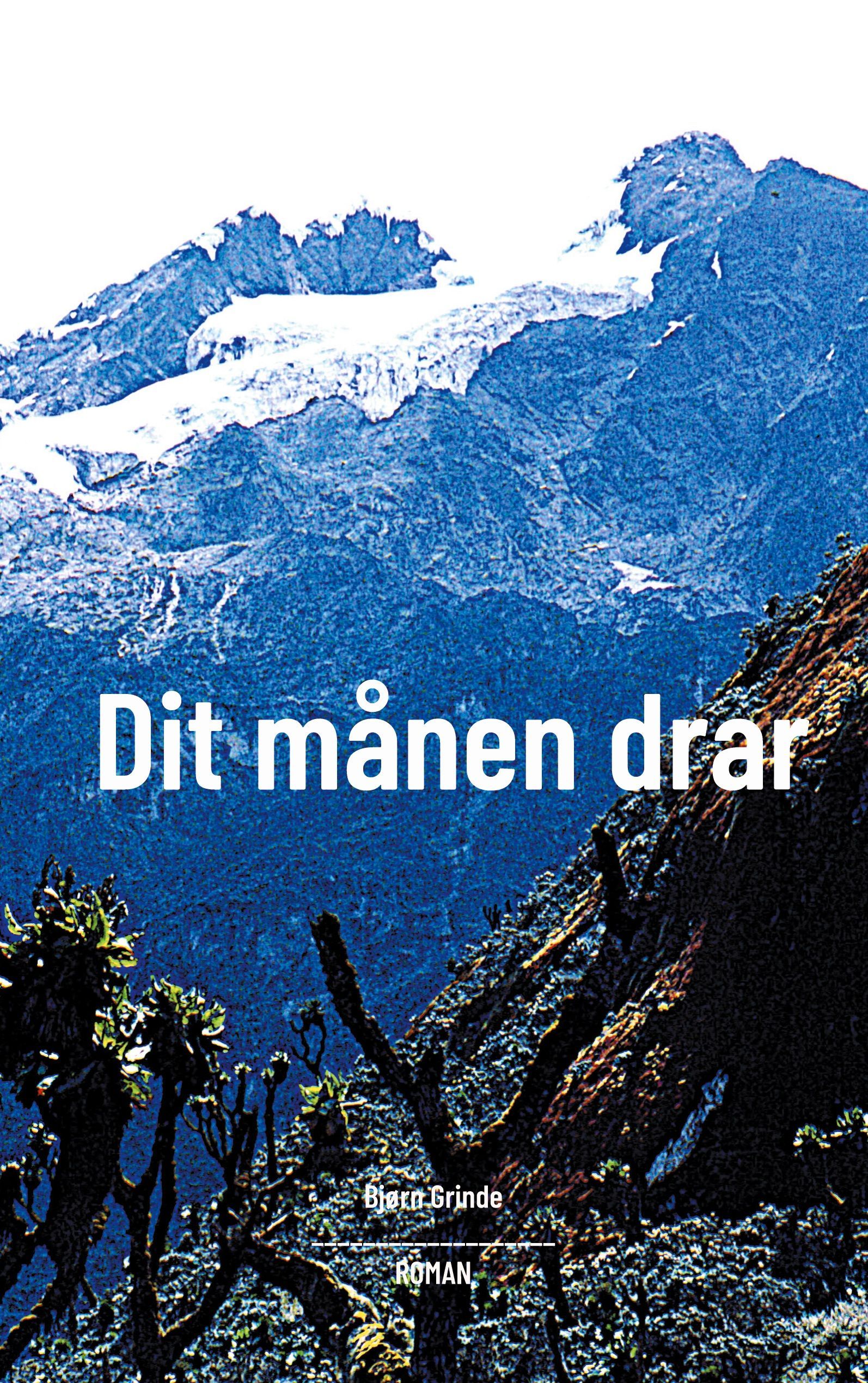 Dit månen drar : roman