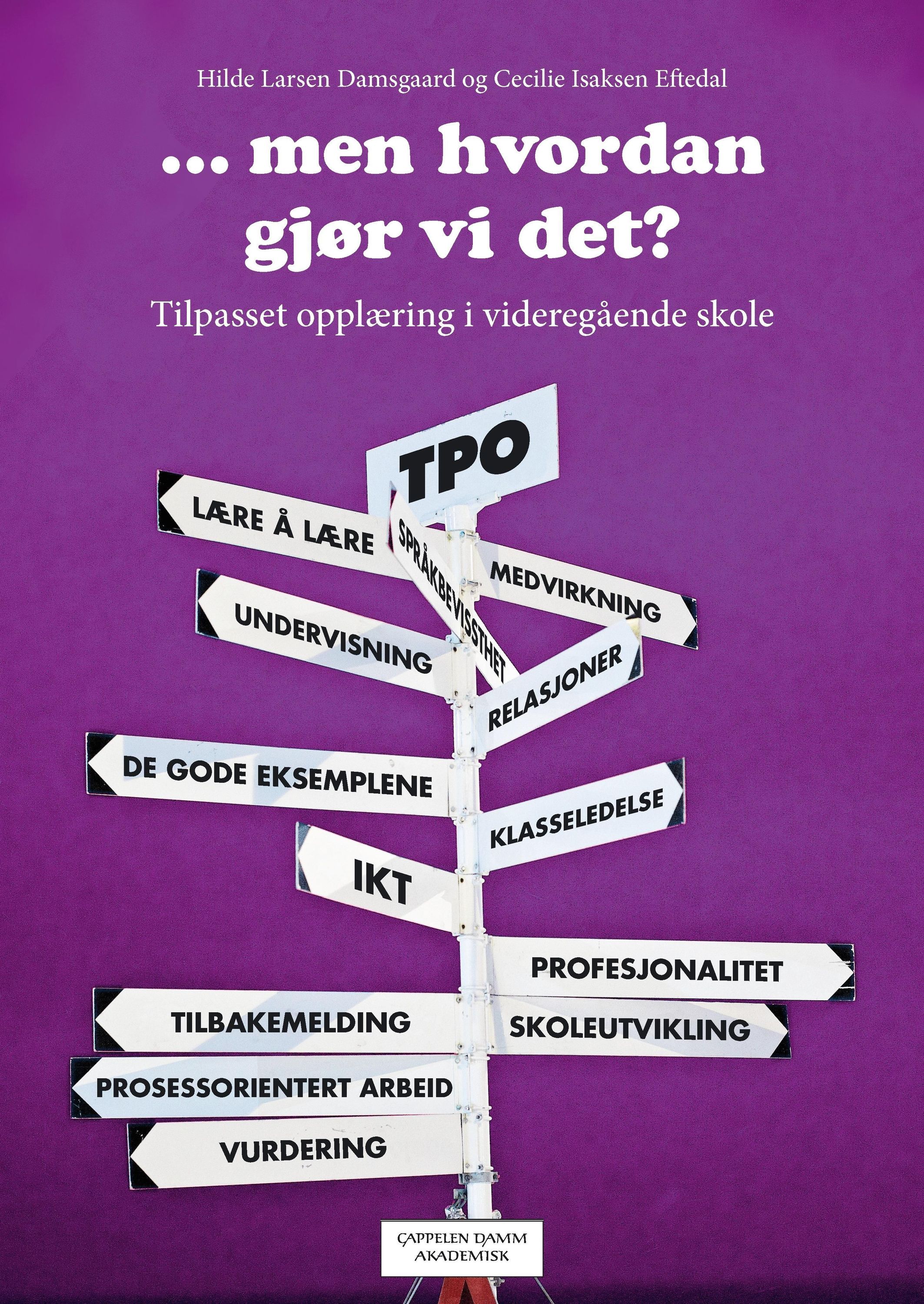 -men hvordan gjør vi det? : tilpasset opplæring i videregående skole