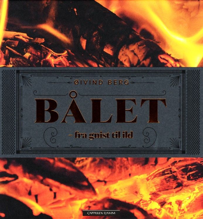 Bålet : fra gnist til ild