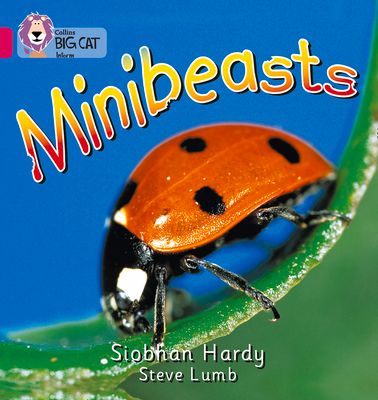 Minibeasts : Band 01a/Pink a