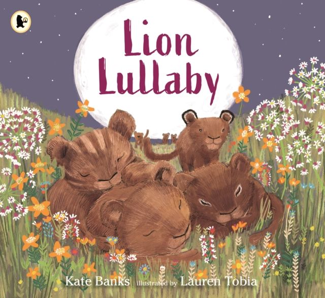 Lion Lullaby : A gentle read-aloud introduction to counting perfect for animal lovers to read at bedtime