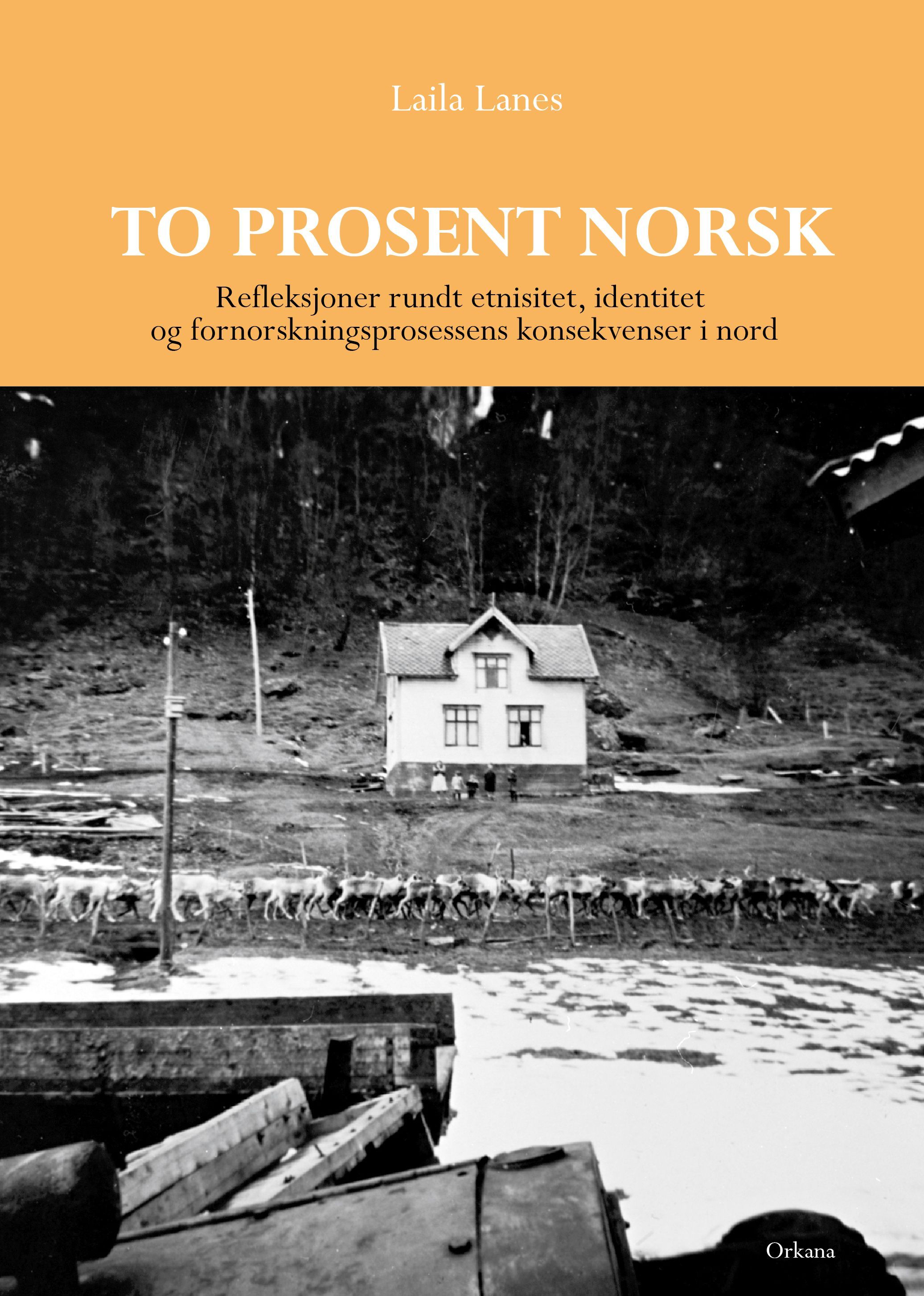 To prosent norsk : refleksjoner rundt etnisitet, identitet og fornorskningsprosessens konsekvenser i nord