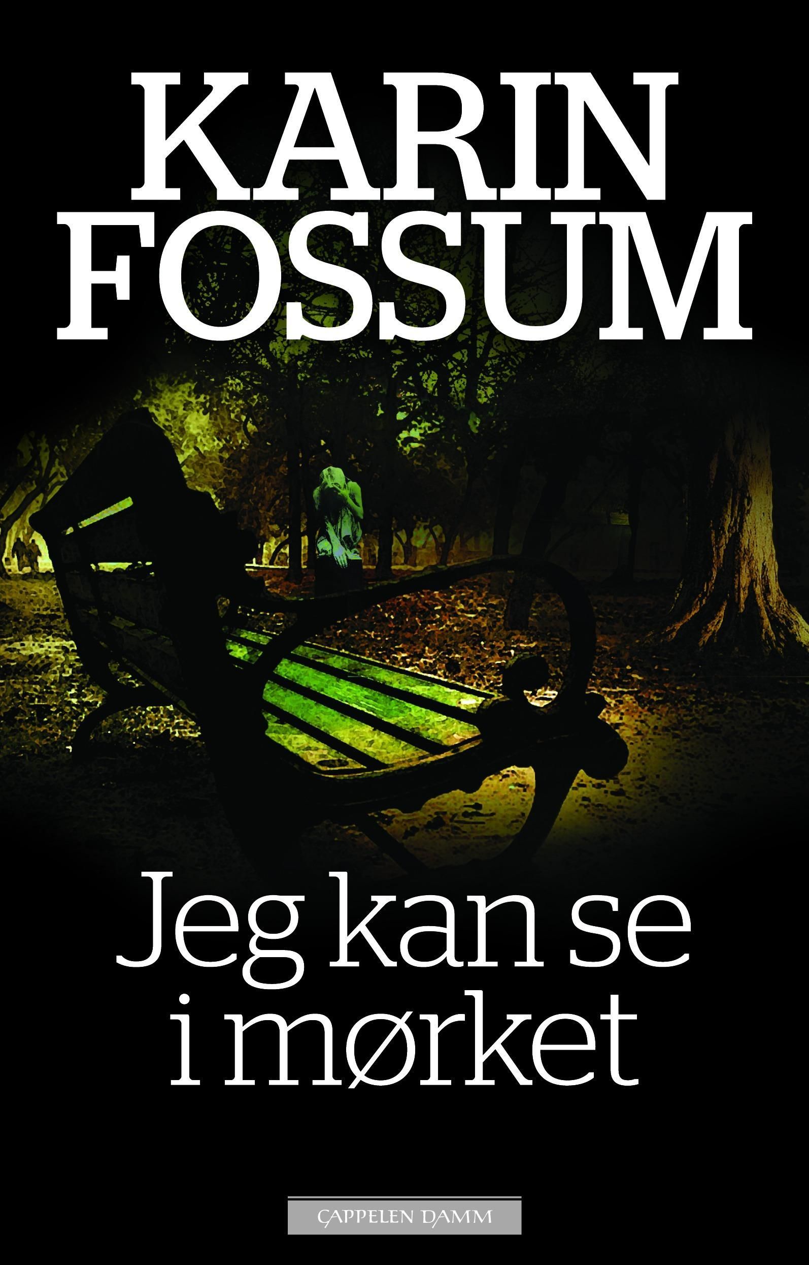 Jeg kan se i mørket : roman