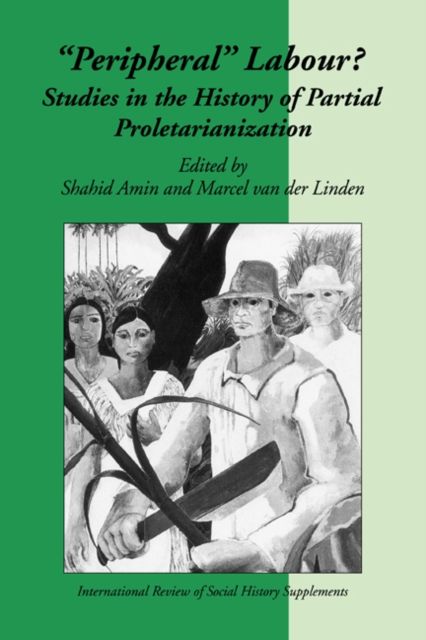 Peripheral Labour : Studies in the History of Partial Proletarianization