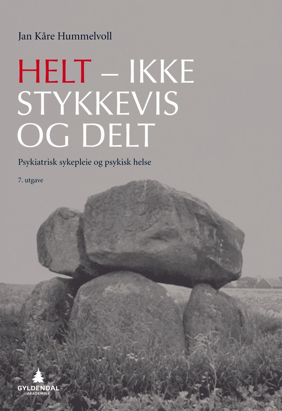 Helt - ikke stykkevis og delt : psykiatrisk sykepleie og psykisk helse