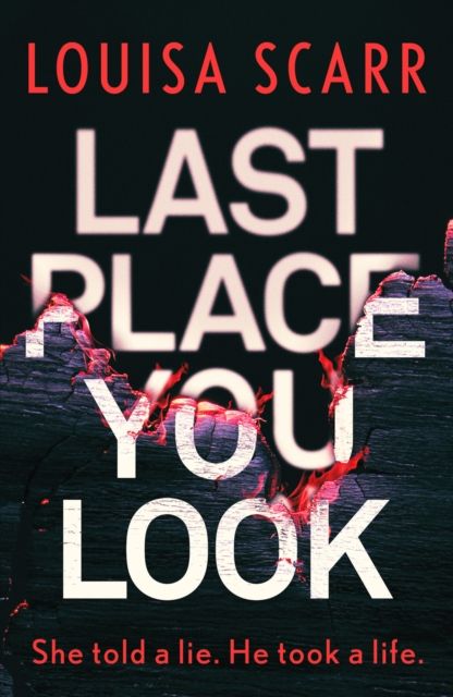 Last Place You Look : A gripping police procedural crime thriller