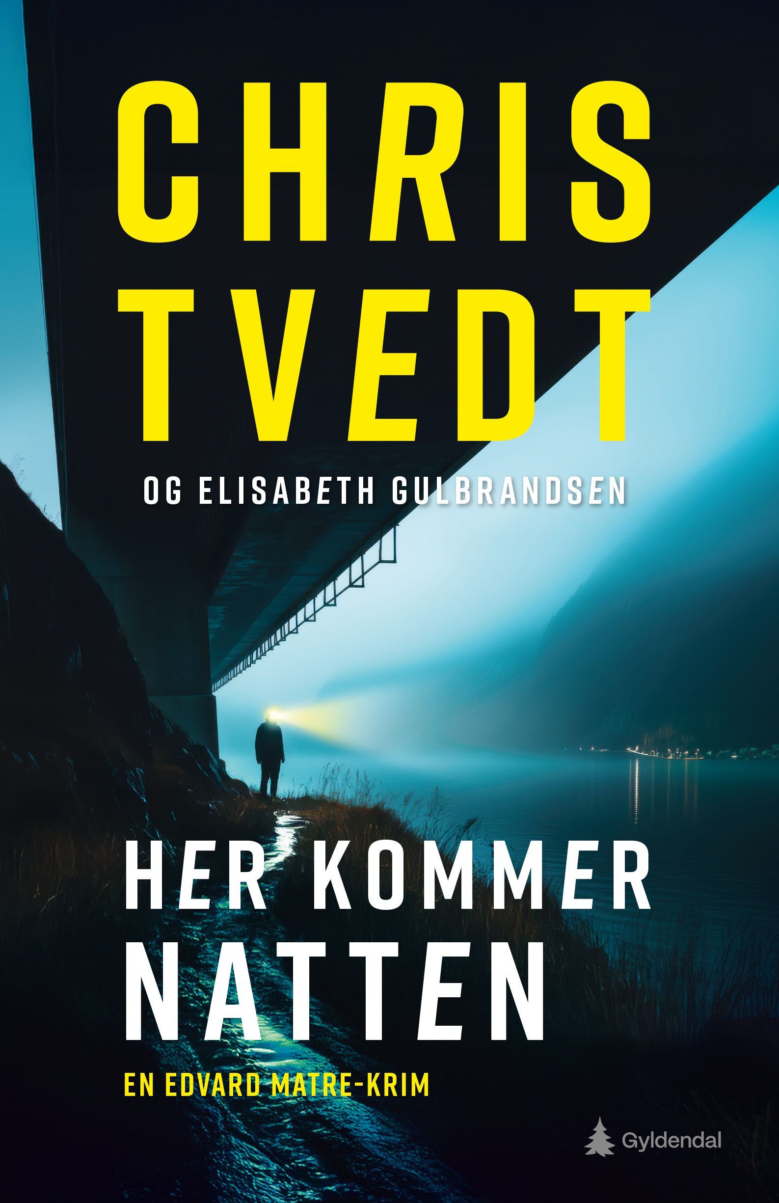 Forsidebilde av Her kommer natten : en Edvard Matre-krim
