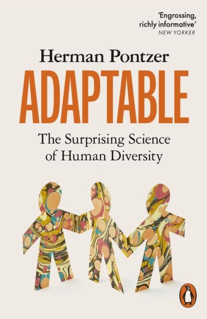 Forsidebilde av Adaptable : The Surprising Science of Human Diversity