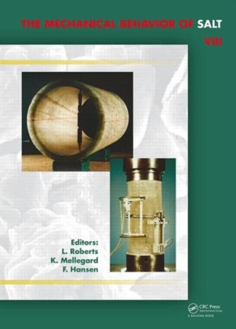 Forsidebilde av Mechanical Behaviour of Salt VIII