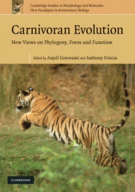 Carnivoran Evolution : New Views on Phylogeny, Form and Function