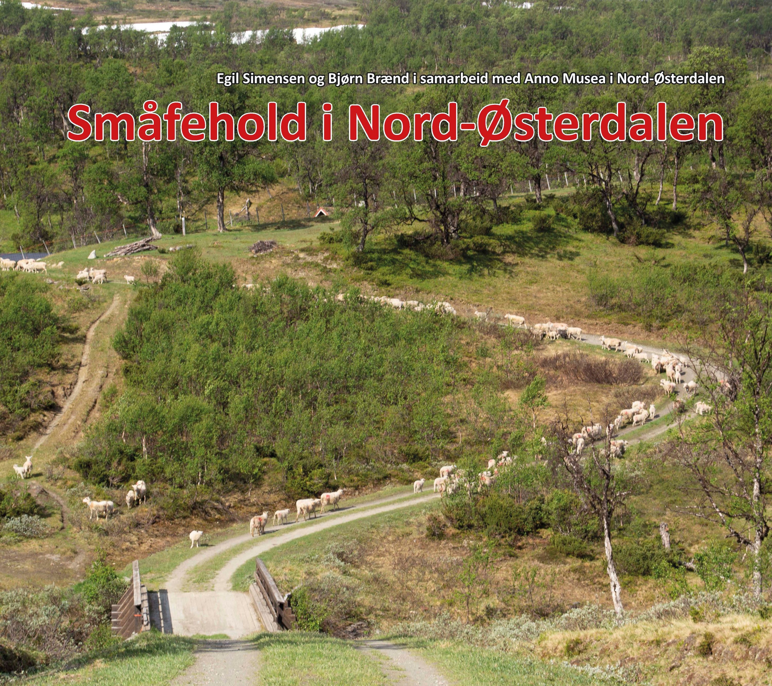 Småfehold i Nord-Østerdalen : - en viktig primærnæring