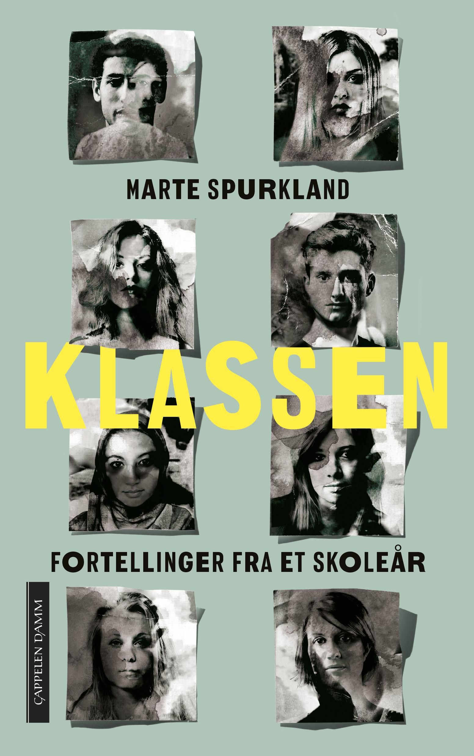 Klassen : fortellinger fra et skoleår