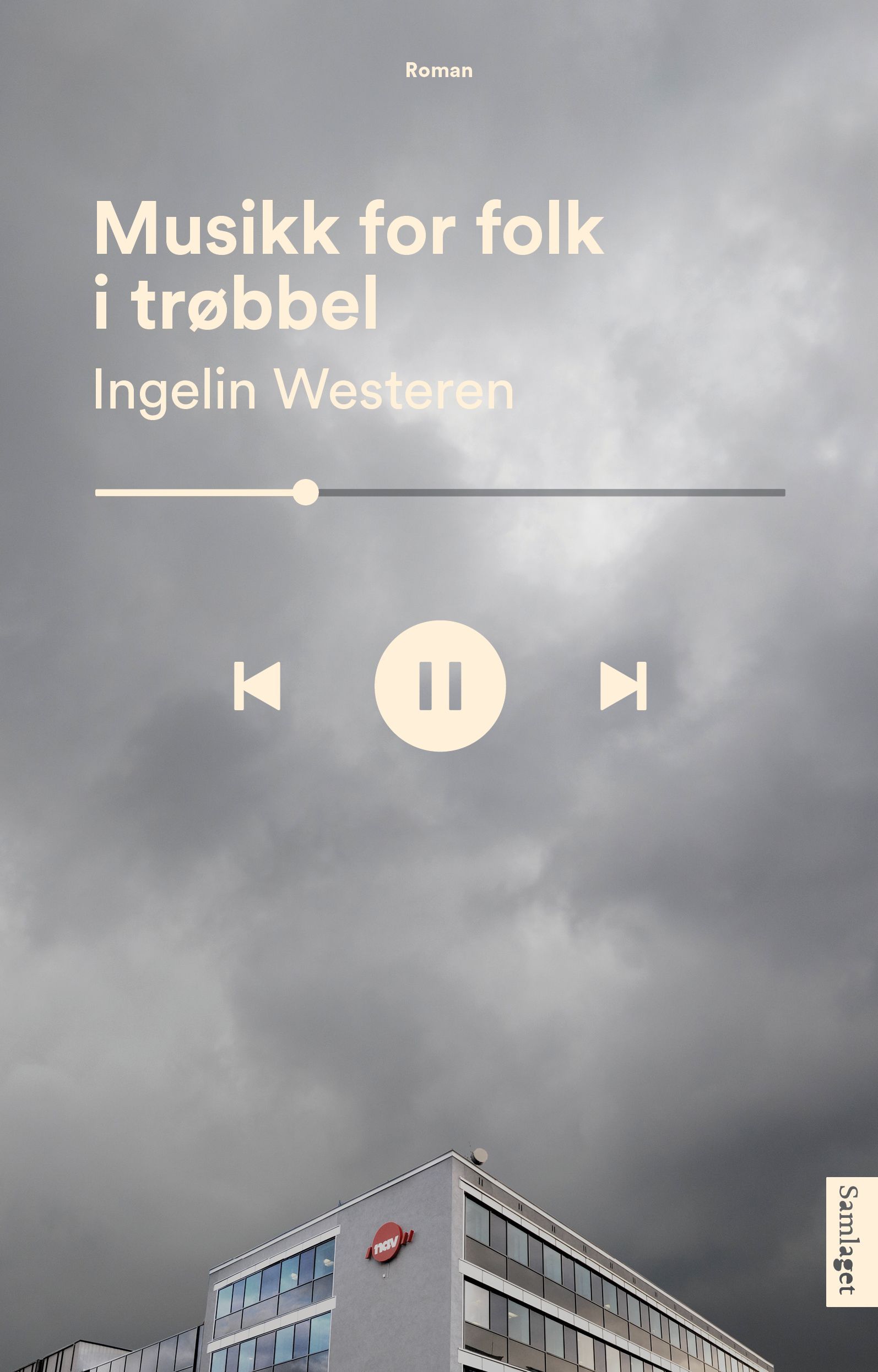 Musikk for folk i trøbbel : roman