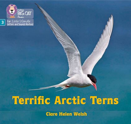 Terrific Arctic Terns : Phase 3 Set 2