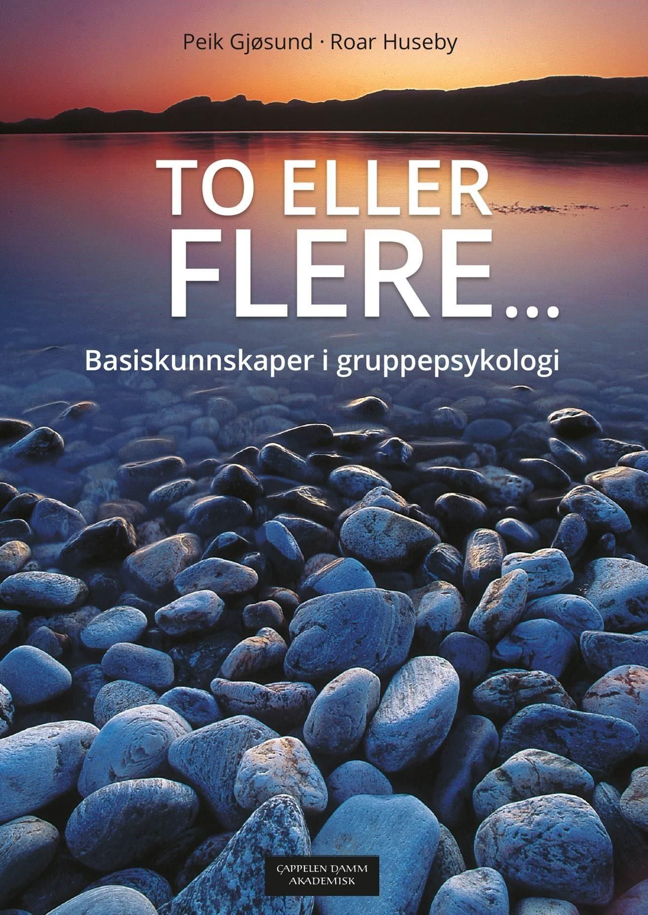 To eller flere : basiskunnskaper i gruppepsykologi