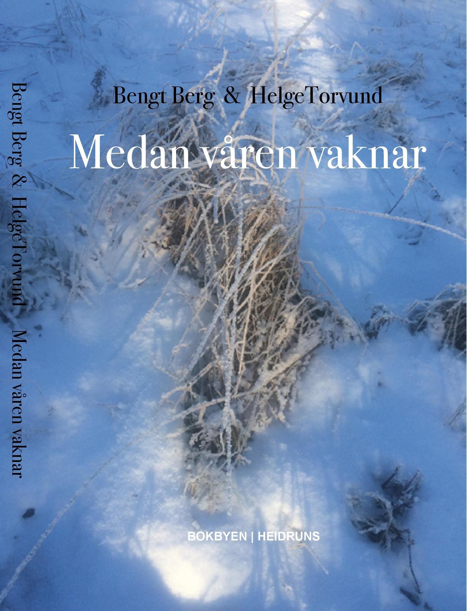 Medan våren vaknar : dikt