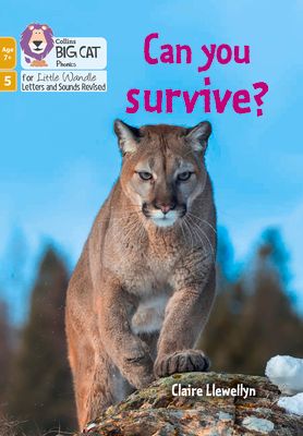 Can you survive? : Phase 5 Set 4