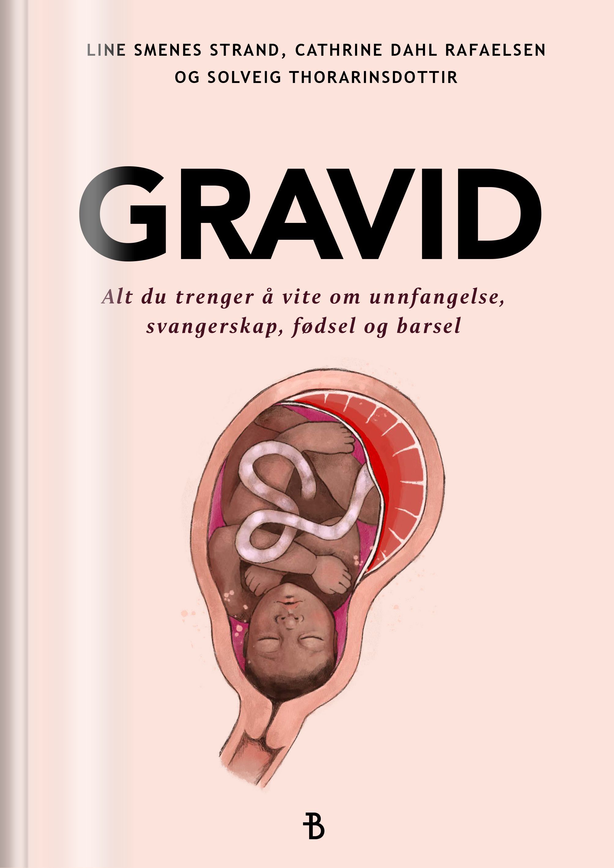Forsidebilde av Gravid : alt du trenger å vite om unnfangelse, svangerskap, fødsel og barsel