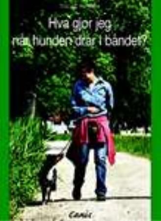 Hva gjør jeg- når hunden drar?