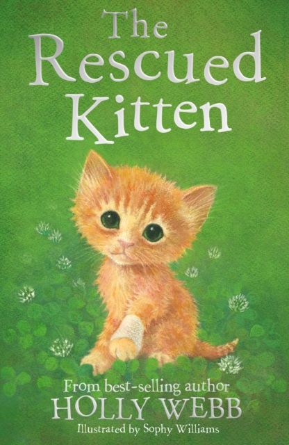 The rescued kitten
