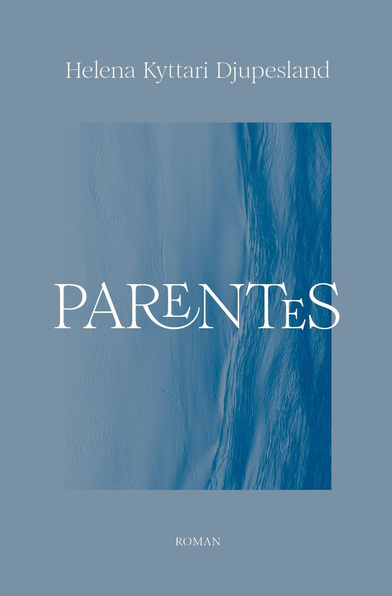 Forsidebilde av Parentes : roman
