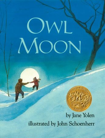 Caldecott medal book