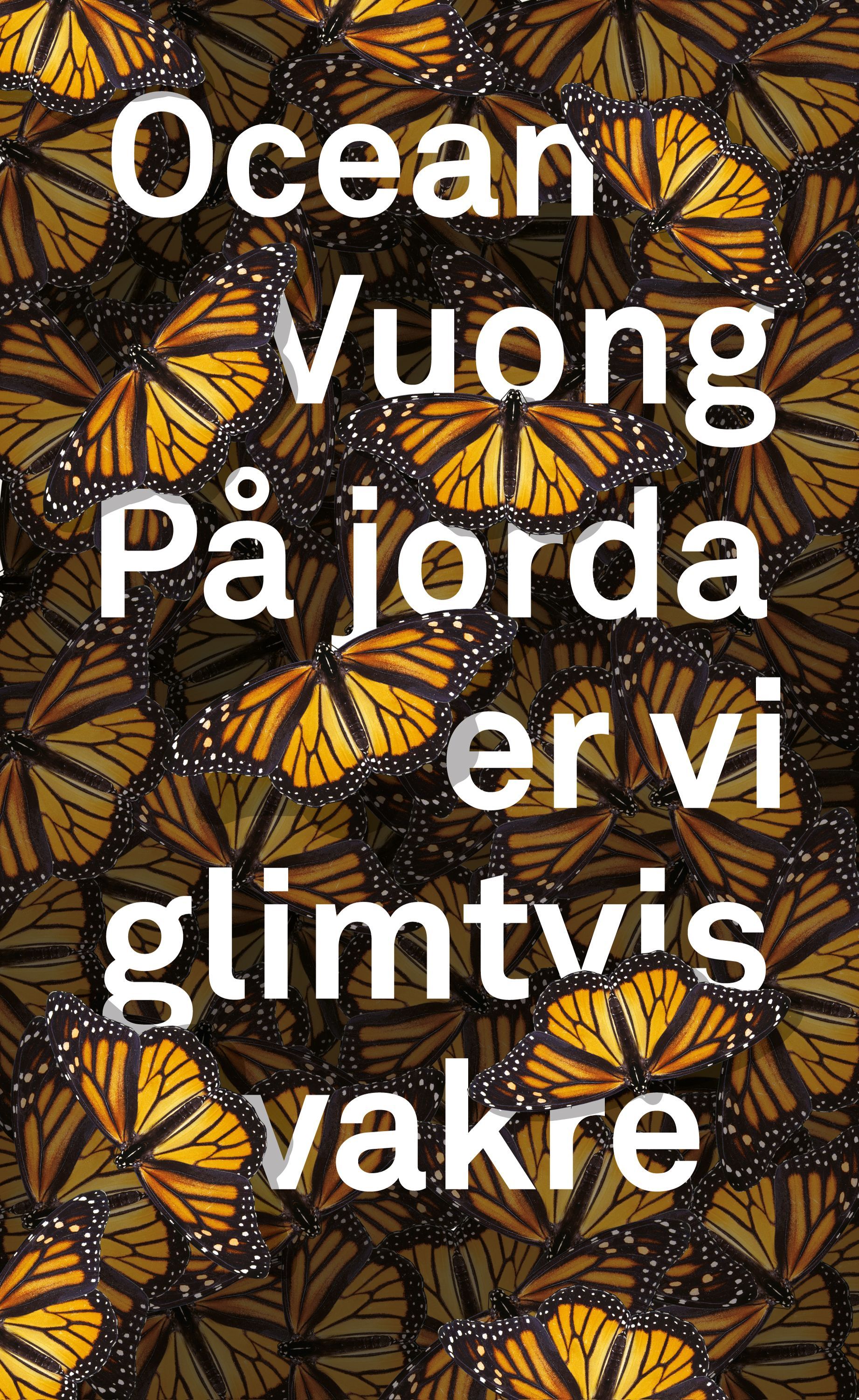 På jorda er vi glimtvis vakre : roman