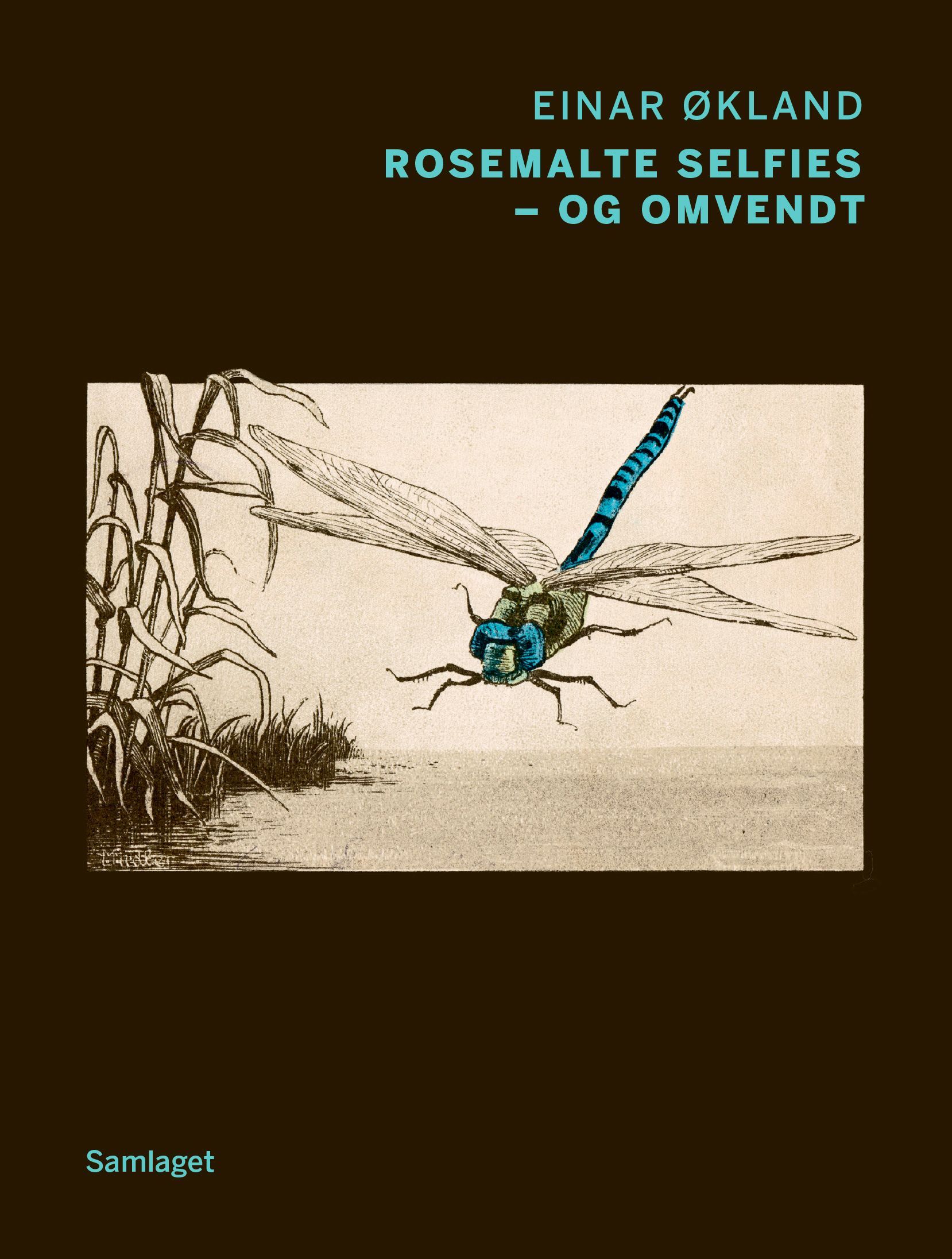 Rosemalte selfies - og omvendt : dikt
