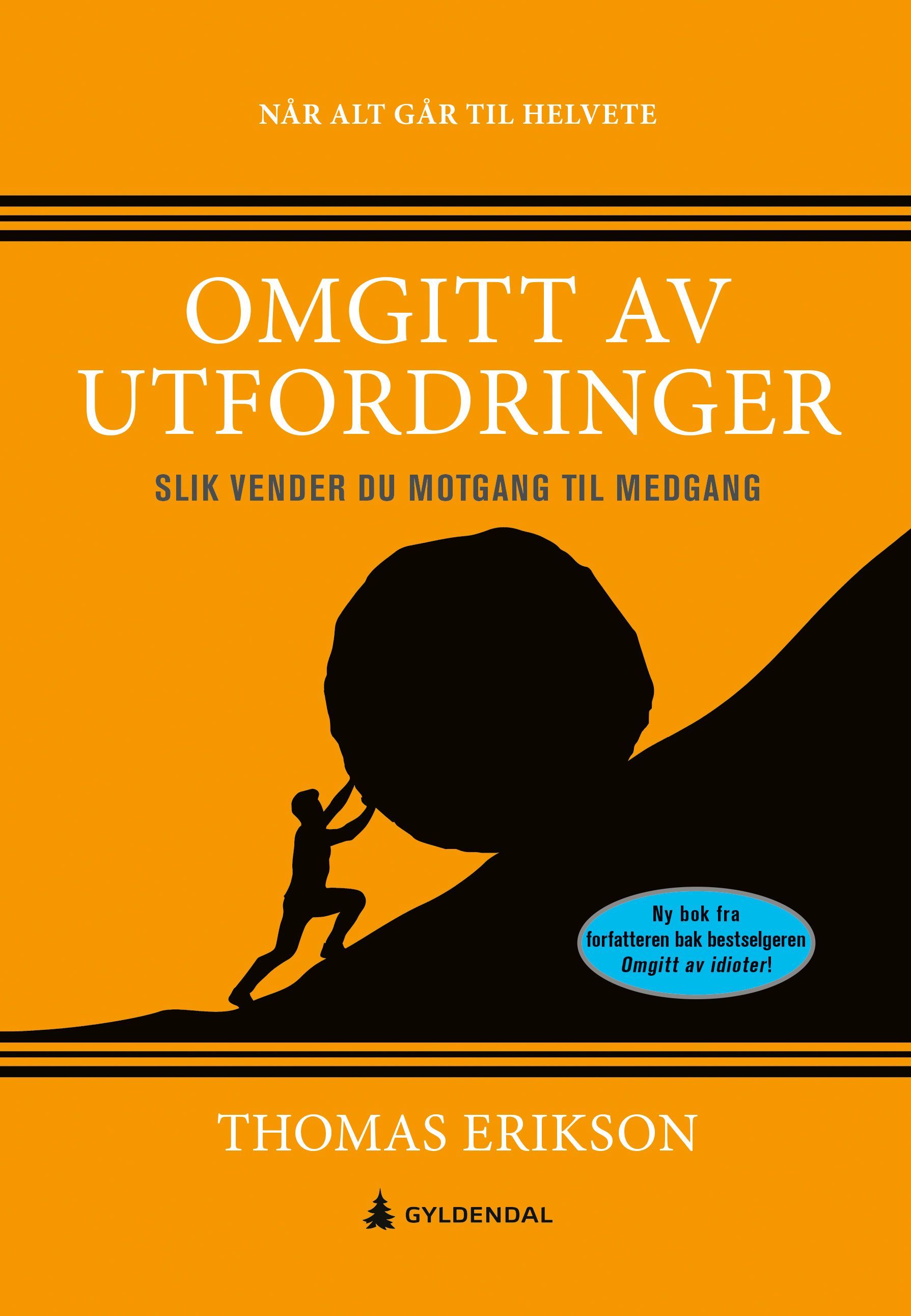 Omgitt av utfordringer : slik vender du motgang til medgang