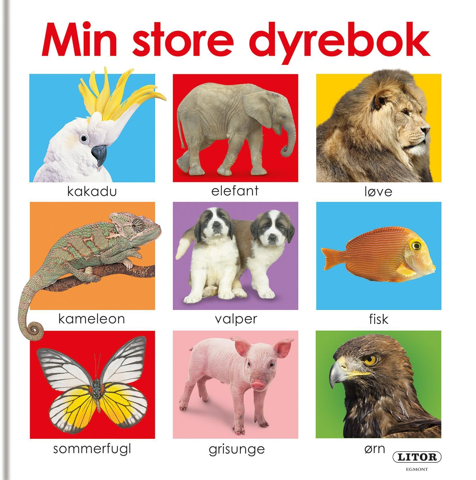 Min store dyrebok