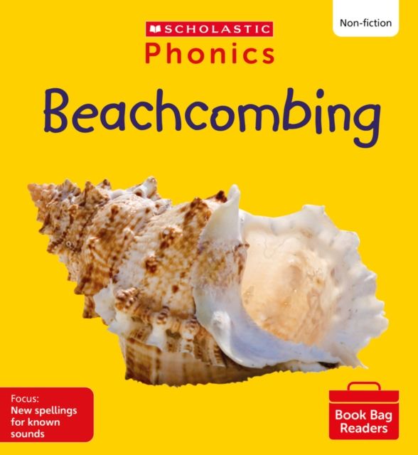 Beachcombing (Set 13)