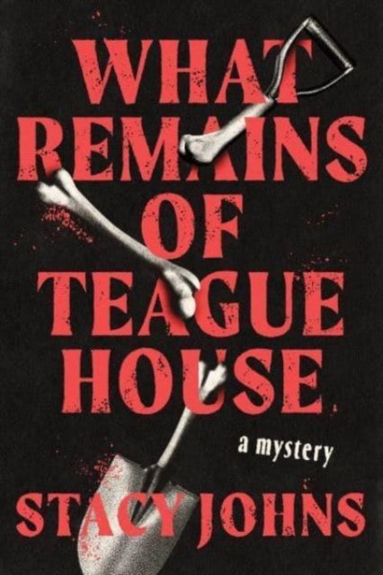 What Remains of Teague House : A Mystery