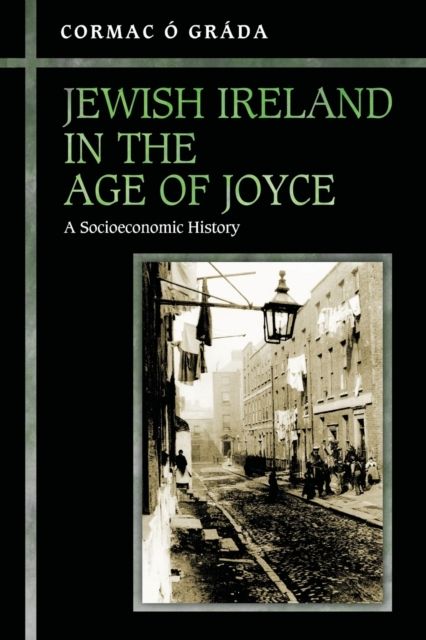 Jewish Ireland in the Age of Joyce : A Socioeconomic History