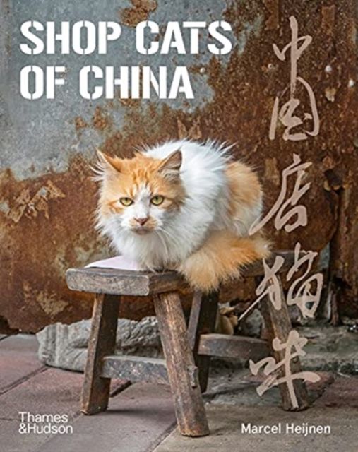 Forsidebilde av Shop Cats of China