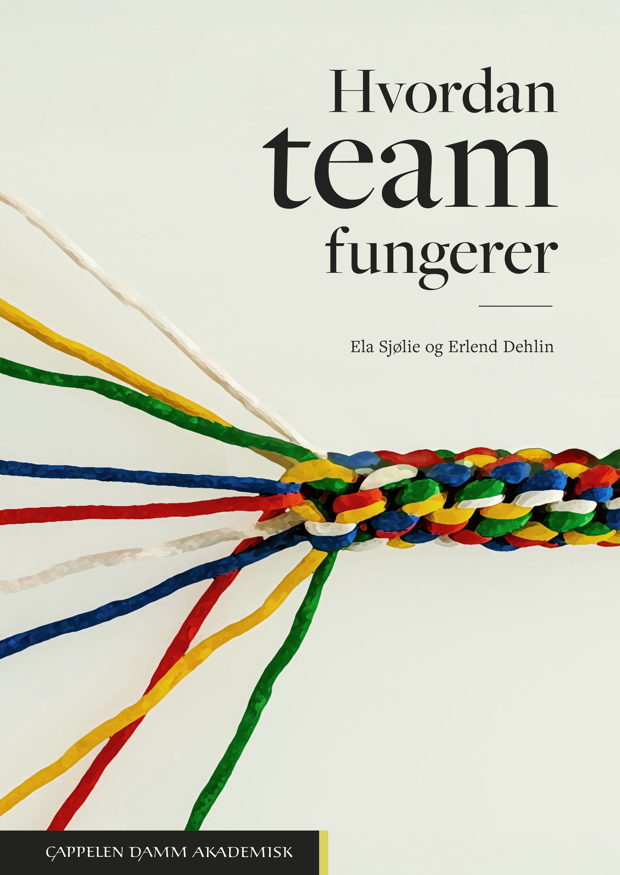 Hvordan team fungerer : fra ekspert i team til ekspertteam