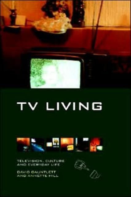 TV Living : Television, Culture and Everyday Life